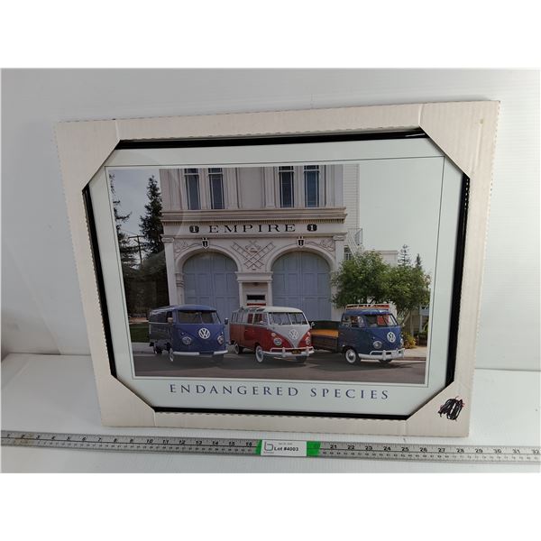 Volkswagen Endangered Species Buses Framed Photo 20" x 16"