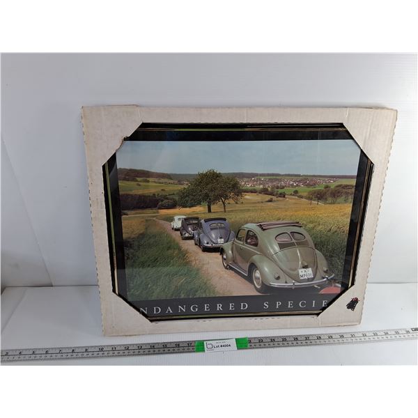 Volkswagen Endangered Species Framed Beetles Photo 20" x 16"