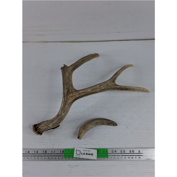 Antlers