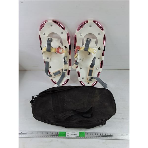 A Pair of Snow Shoes