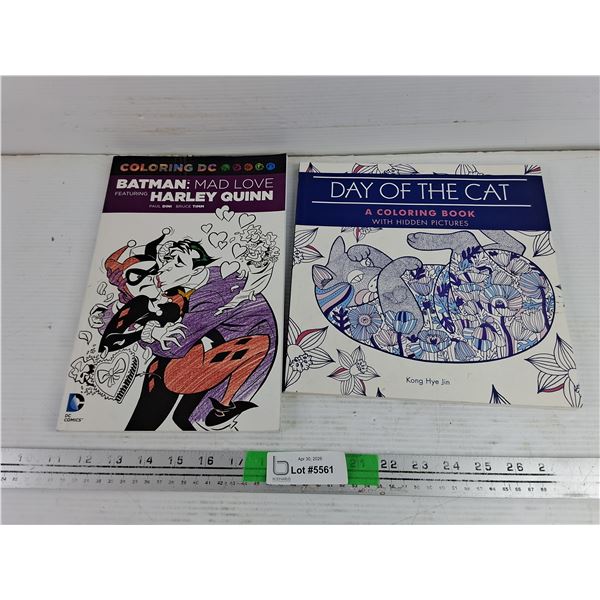 Batman Mad Love & Day of the Cat Coloring Books