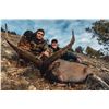 Image 1 : Spanish Ibex Grand Slam