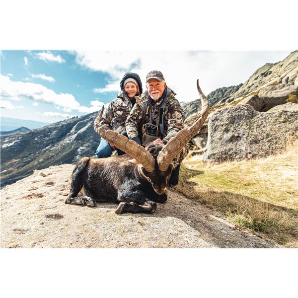 Silver Medal Gredos Ibex