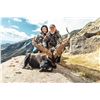 Image 1 : Silver Medal Gredos Ibex