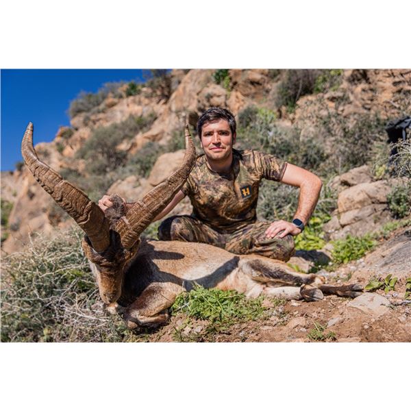 Ronda Ibex Hunt Trophy Class