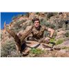 Image 1 : Ronda Ibex Hunt Trophy Class