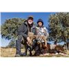 Image 1 : Mouflon Sheep Hunt in Spain Trophy Class