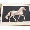 Image 5 : LOT OF 18 "CHEVAL BLANC" SILKSCREENS, NUMBERED, 29-1/2" X 21-1/2"