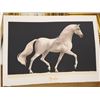 Image 1 : LOT OF APPROX. 145 "CHEVAL BLANC" SILKSCREENS, 29-1/2" X 21-1/2"