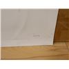 Image 3 : LOT OF APPROX. 60 "GORION" SILKSCREENS, 25-1/2" X 21"