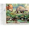 Image 3 : "WORLD OF DINOSAURS" STAMP SOUVENIR SHEET (SCOTT #3136) ISSUED BY THE UNITED STATES POSTAL SERVICE; 