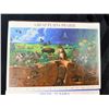 Image 6 : COLLECTIBLE U.S. POSTAGE STAMP SHEETS FROM THE "NATURE OF AMERICA" SERIES
