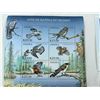 Image 10 : BIRDS OF PREY FROM AROUND THE GLOBE (INTERNAL REFERENCE: C)