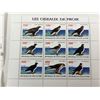 Image 11 : BIRDS OF PREY FROM AROUND THE GLOBE (INTERNAL REFERENCE: C)