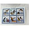 Image 14 : BIRDS OF PREY FROM AROUND THE GLOBE (INTERNAL REFERENCE: C)