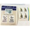 Image 16 : BIRDS OF PREY FROM AROUND THE GLOBE (INTERNAL REFERENCE: C)