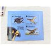 Image 17 : BIRDS OF PREY FROM AROUND THE GLOBE (INTERNAL REFERENCE: C)