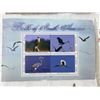 Image 3 : BIRDS OF PREY FROM AROUND THE GLOBE (INTERNAL REFERENCE: C)
