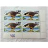 Image 5 : BIRDS OF PREY FROM AROUND THE GLOBE (INTERNAL REFERENCE: C)