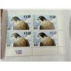 Image 6 : BIRDS OF PREY FROM AROUND THE GLOBE (INTERNAL REFERENCE: C)
