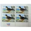 Image 9 : BIRDS OF PREY FROM AROUND THE GLOBE (INTERNAL REFERENCE: C)