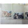 Image 11 : COLLECTION OF POSTAGE STAMPS FEATURING VARIOUS CAT BREEDS (INTERNAL REFERENCE: D)