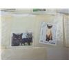 Image 12 : COLLECTION OF POSTAGE STAMPS FEATURING VARIOUS CAT BREEDS (INTERNAL REFERENCE: D)