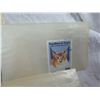 Image 16 : COLLECTION OF POSTAGE STAMPS FEATURING VARIOUS CAT BREEDS (INTERNAL REFERENCE: D)