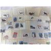 Image 5 : COLLECTION OF POSTAGE STAMPS FEATURING VARIOUS CAT BREEDS (INTERNAL REFERENCE: D)
