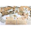 Image 8 : COLLECTION OF UNITED STATES WORLD WAR II-ERA RATION BOOKS AND STAMPS