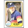 Image 1 : 1981 FLEER JOE NIEKRO (HOF)