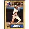 Image 1 : 1987 TOPPS ANDRE DAWSON (HOF)