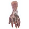 Image 1 : A"Darkman" Burning Hand Stop-Motion Animation Prop.