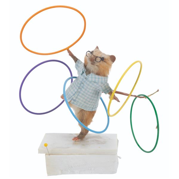 A"Dinner for Schmucks" Prop Taxidermy Hula Hoop Mouse.