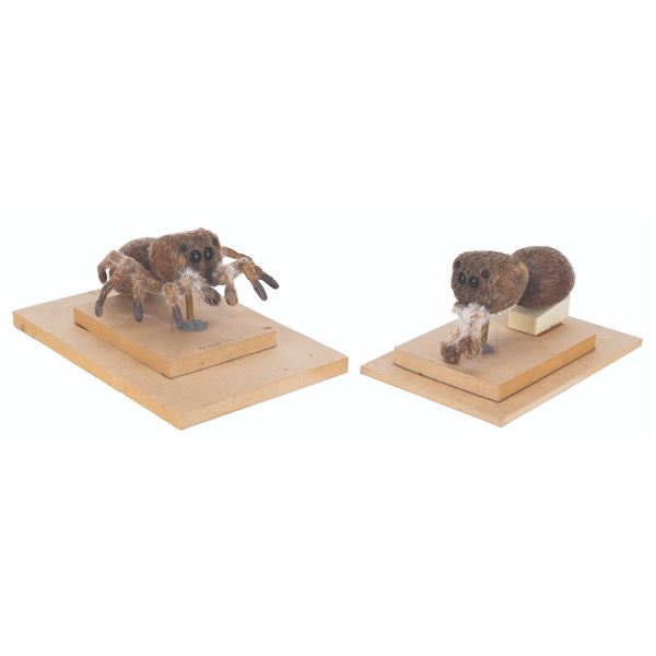 A "Marcel the Shell with Shoes On" Spider Puppet & Insect Stand-Ins.