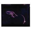 Image 4 : "Star Trek: The Motion Picture" Transparencies, Negatives, & Photos.
