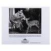 Image 10 : A Collection of "Bambi" Publicity Photos.