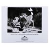 Image 9 : A Collection of "Bambi" Publicity Photos.