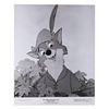 Image 6 : A Collection of "Robin Hood" Publicity Photos.