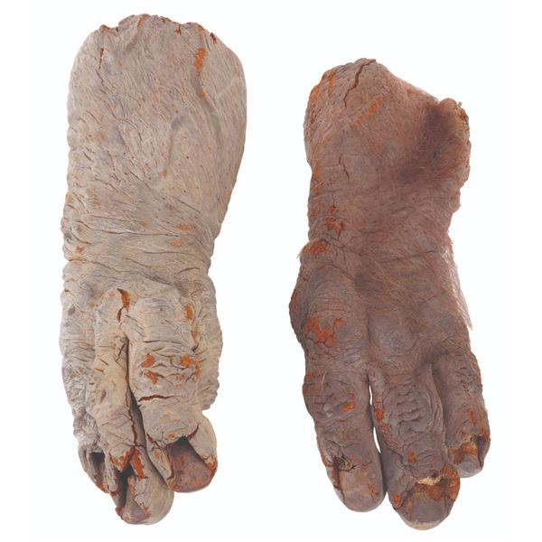 A Pair of "Ernest Scared Stupid" Troll Hands.