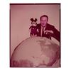 Image 4 : A Collection of Disneyland Photos and Walt Portraits.