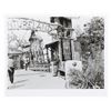 Image 7 : A Collection of Disneyland Photos and Walt Portraits.