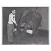 Image 4 : Photos of Mouseketeers with Walt Rehearsing for the Disneyland Circus..