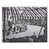 Image 12 : A Collection of Mickey Mouse Club Circus Big Top Photos.