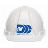 Image 1 : A Disney Development Company Hard Hat.