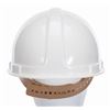 Image 4 : A Disney Development Company Hard Hat.