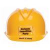 Image 1 : A Horizons Demolition Party Hard Hat.