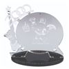 Image 2 : A Walt Disney World 2000 Support Systems & Technologies Award.