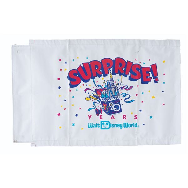 A Walt Disney World 20th Anniversary Banner.