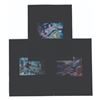 Image 1 : Three EPCOT Horizons Queue Transparencies.